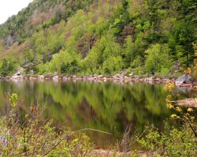 [Light and dark green trees on the hillside reflected in a lake rimmed with light grey stones.]